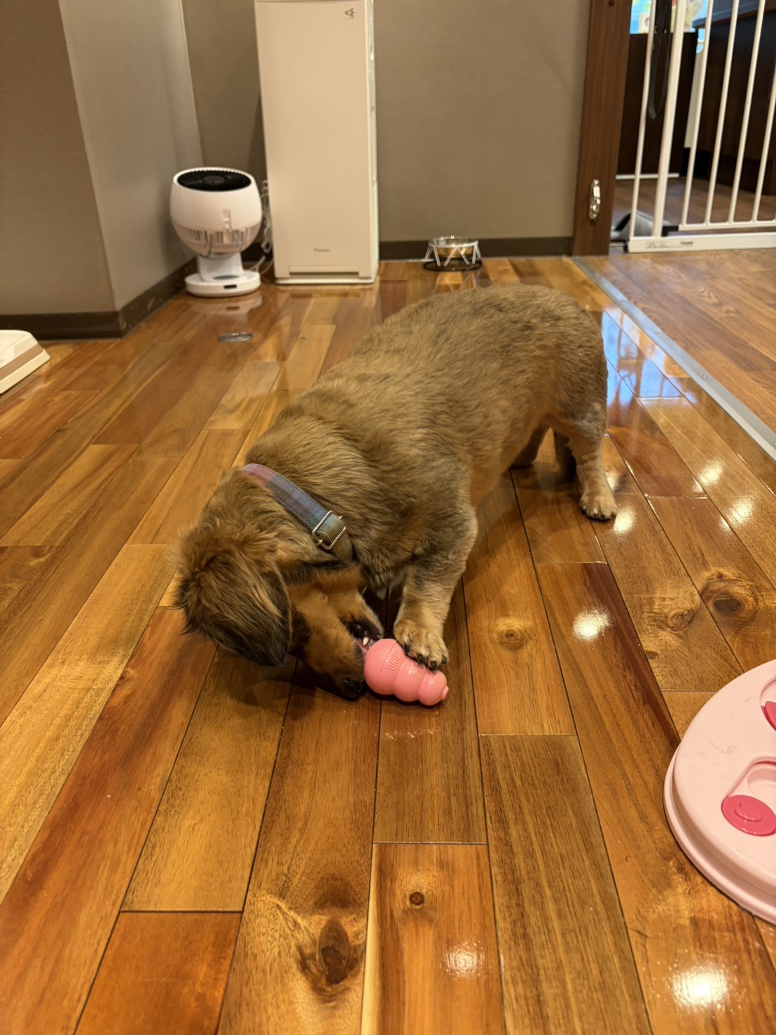 トレーニング日誌