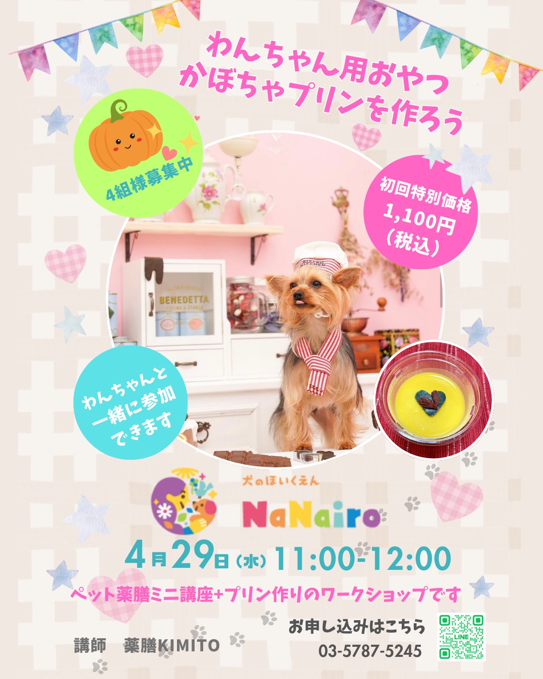 ペット薬膳ミニ講座+プリン作りワークショップ